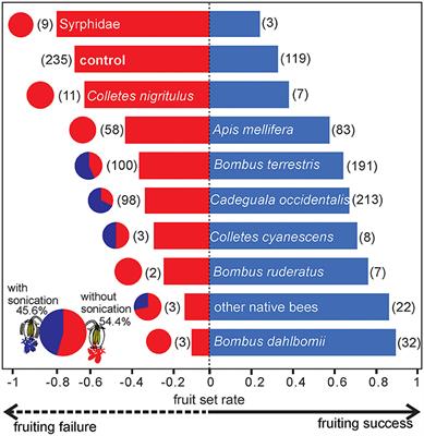 Pollination by native bees achieves high fruit quantity and quality of highbush blueberry: a sustainable alternative to managed pollinators